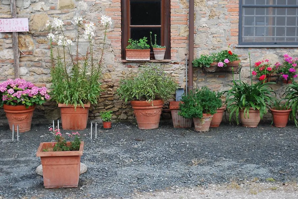 Agriturismo Le Biricoccole Villa Vada 0*,