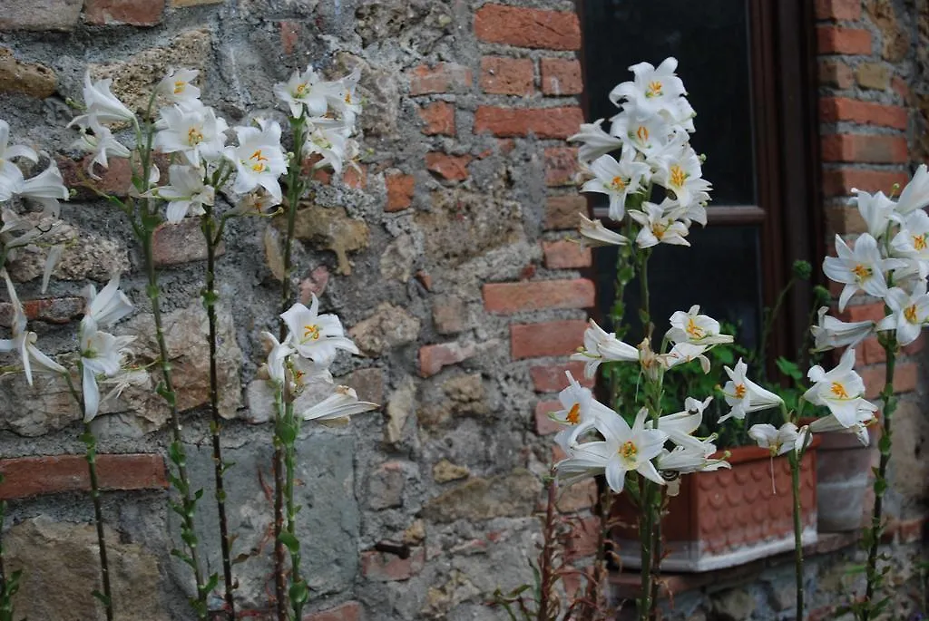 Farm stay Agriturismo Le Biricoccole Villa Vada