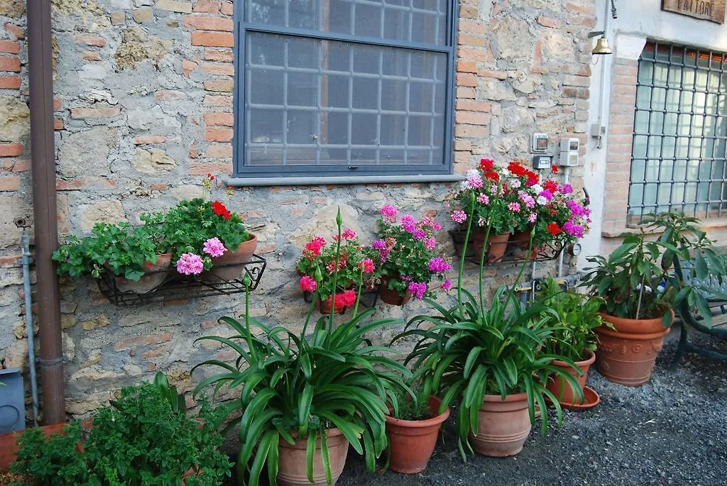 Le Biricoccole Vila Vada Alojamento de Turismo Rural