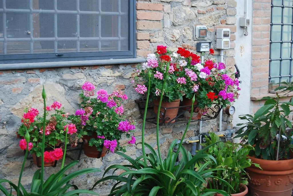 Farm stay Agriturismo Le Biricoccole Villa Vada