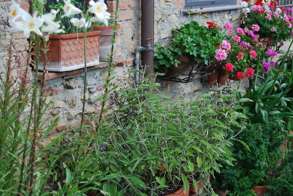 Agriturismo Le Biricoccole Villa Vada Italy