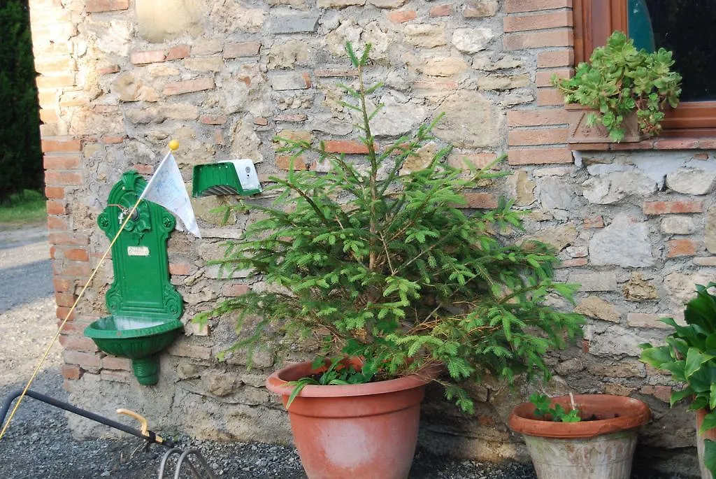 Alojamento de Turismo Rural Le Biricoccole Vila Vada